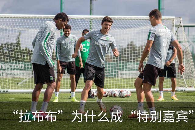 “拉布布”为什么成“特别嘉宾”？