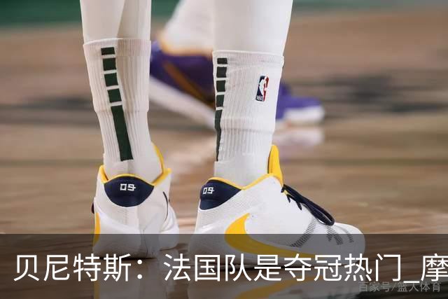 贝尼特斯：法国队是夺冠热门 摩洛哥、挪威、塞内加尔有黑马潜质